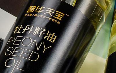 簽約潞安集團智華天寶品牌網(wǎng)站建設項目