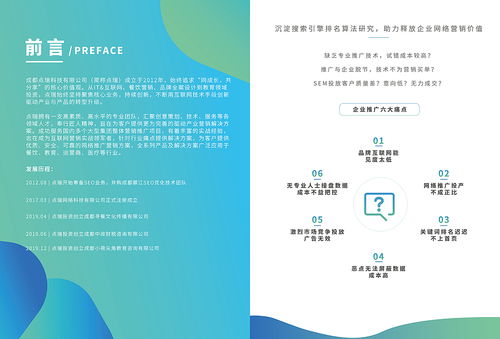 互聯(lián)網(wǎng)公司畫冊(cè) 點(diǎn)瑞科技